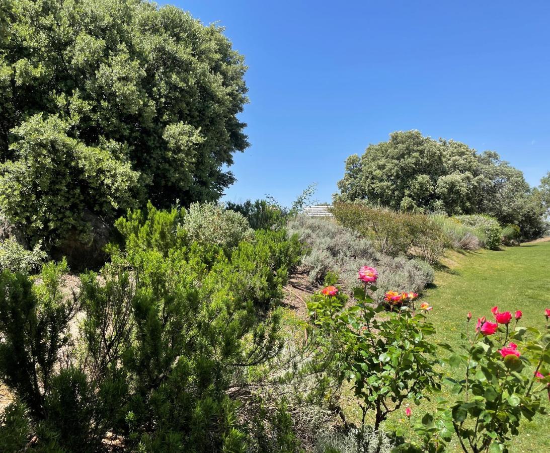 El Encinar De Gabino Villa Zarzuela del Monte Buitenkant foto